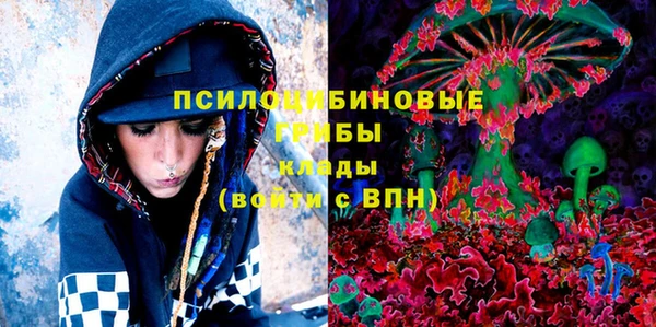 МДМА Горнозаводск