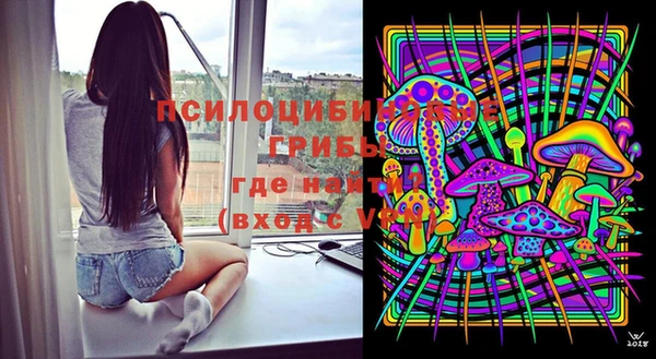 ГАЛЛЮЦИНОГЕННЫЕ ГРИБЫ Абинск