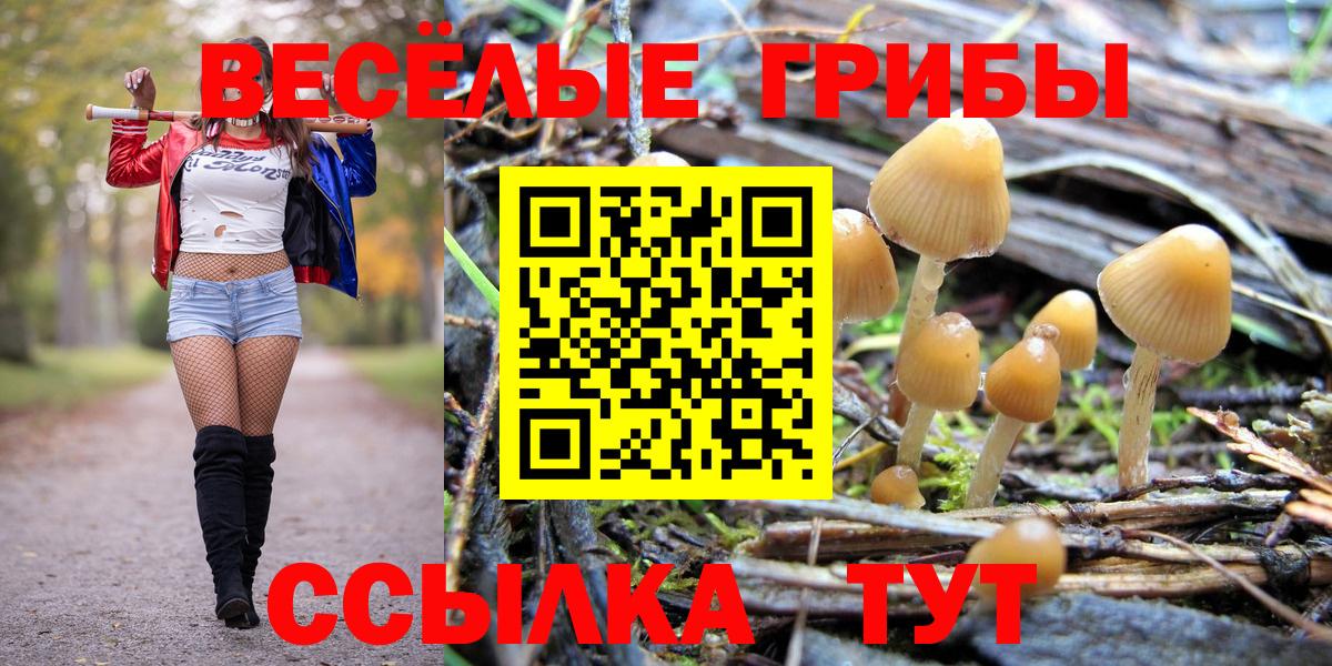 Галлюциногенные грибы MAGIC MUSHROOMS  Вход с VPN  где найти наркотики  Ханты-Мансийск  Псилоцибиновые грибы мицелий 